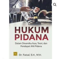 Hukum pidana : dalam dinamika asas, teori, dan pendapat ahli pidana