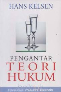 Pengantar teori hukum